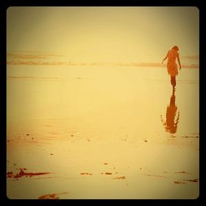 Meet your Posher, Dawn